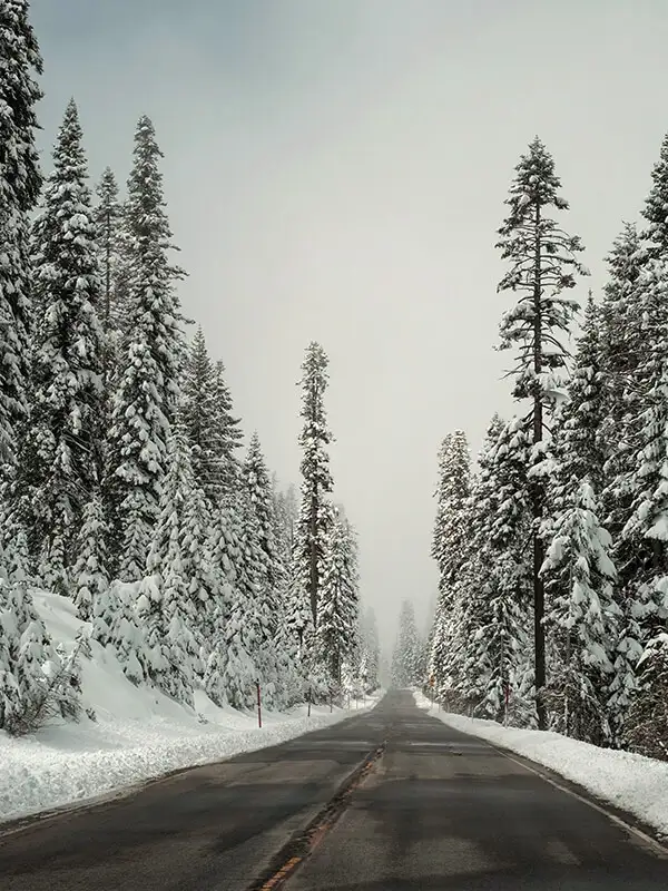 Invierno.webp - Pangea Viajes