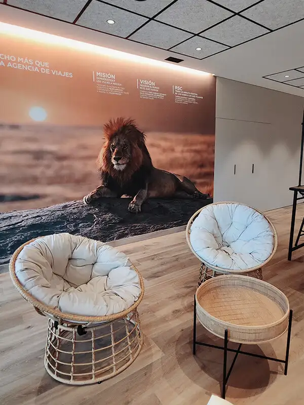 Módulo-Información-Mosaico-Tiendas-Pamplona-3-vertical-desktop-600x800px.webp - Pangea Viajes