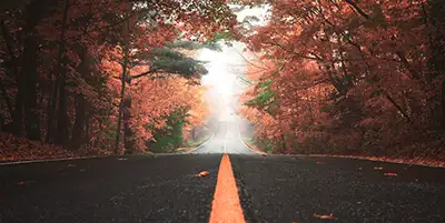 Otoño.webp - Pangea Viajes