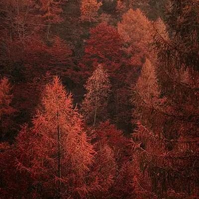 Otoño.webp - Pangea Viajes