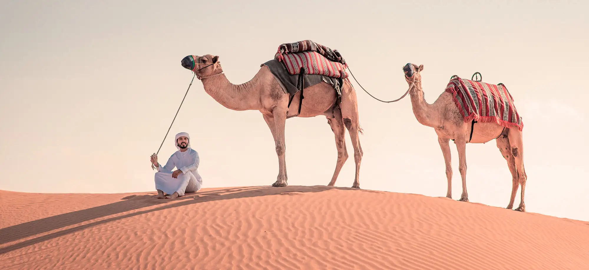 viajar-a-emiratos-arabes-desierto-de-dubai-g3.webp - Pangea Viajes