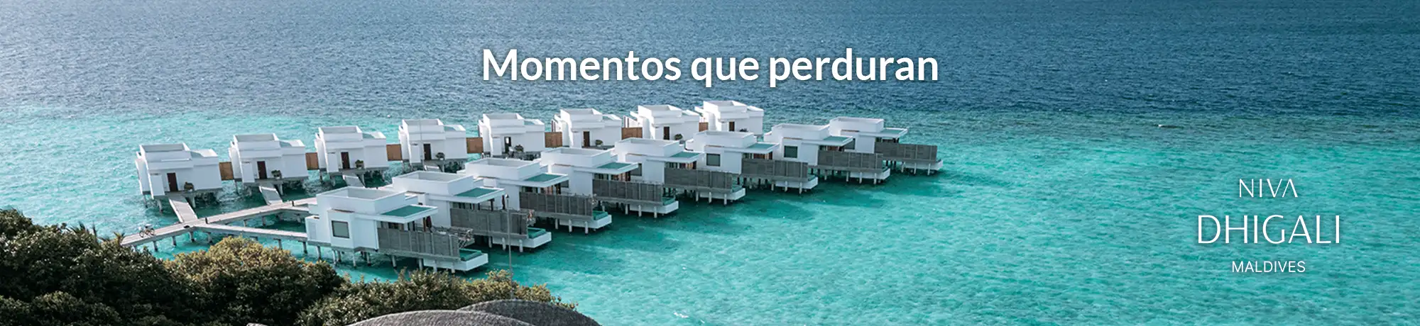 Banner-Publi-Niva-Dhigali-desktop-2000x460px (1).webp - Pangea Viajes