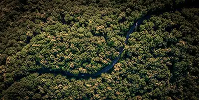 Latinoamerica.webp - Pangea Viajes