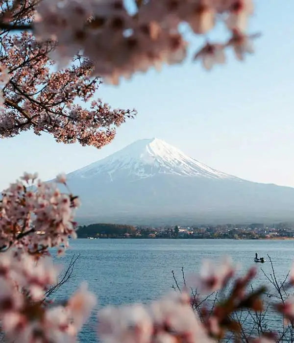 Mejor época para viajar a Japón