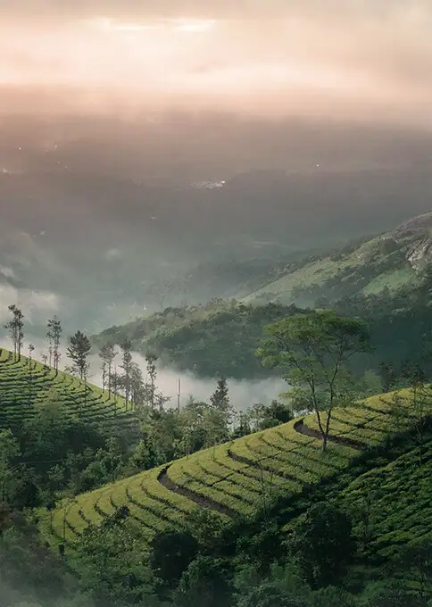 Mejor época para viajar a India
