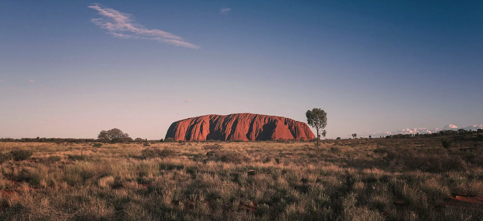 Viajes al Centro Rojo