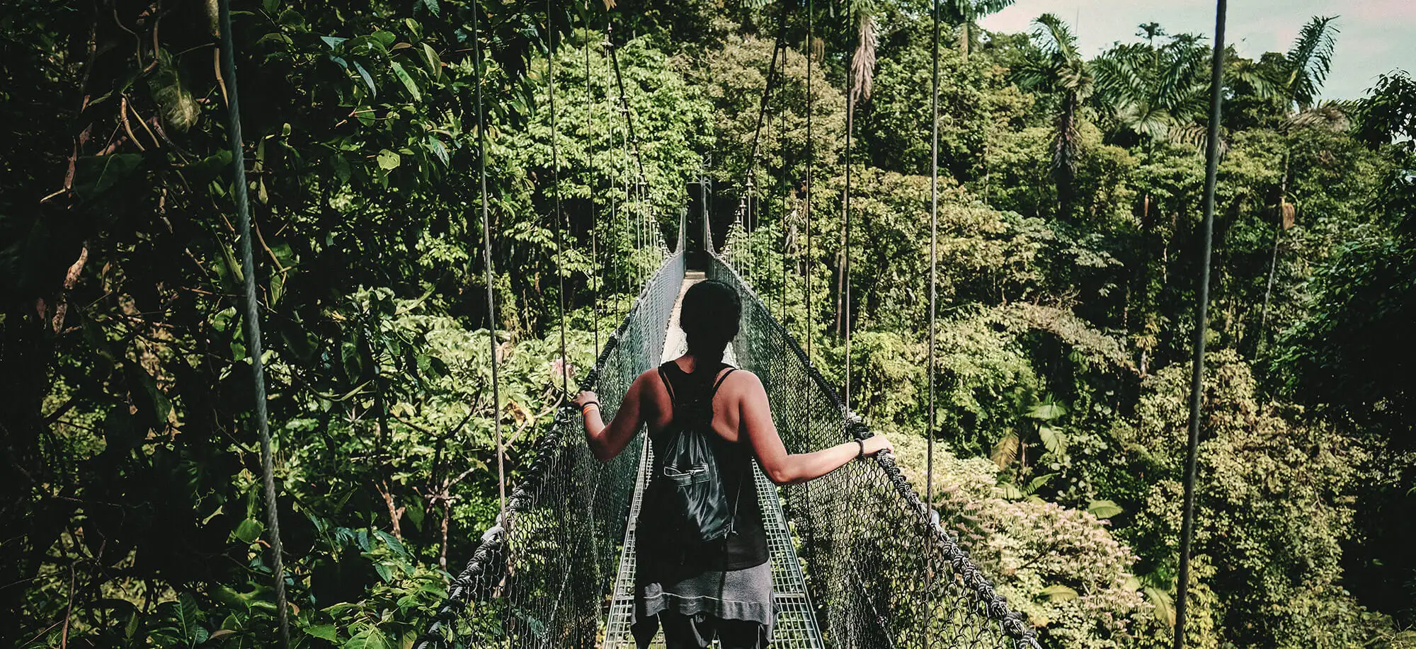 Viajes al Bosque Nuboso de Monteverde