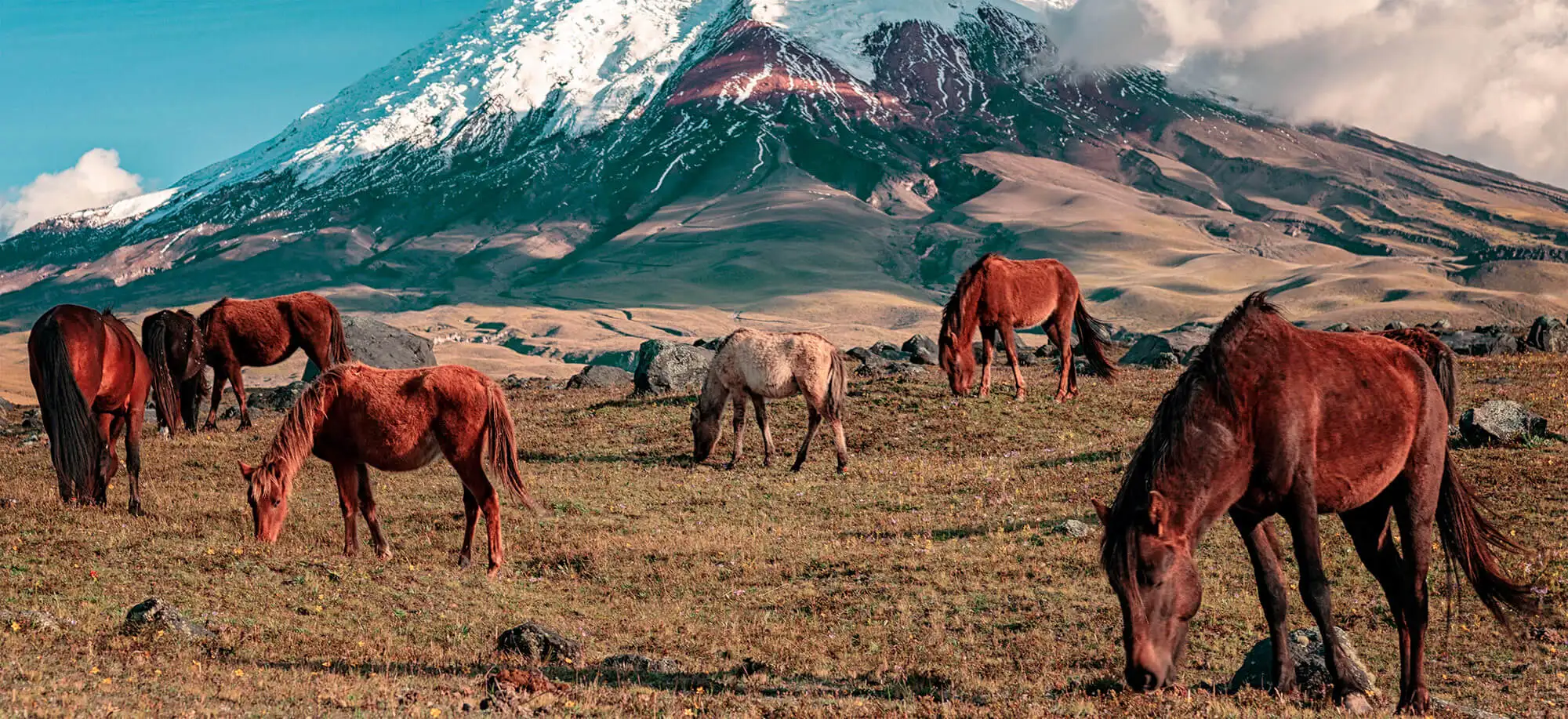 Viajes al Volcán Cotopaxi