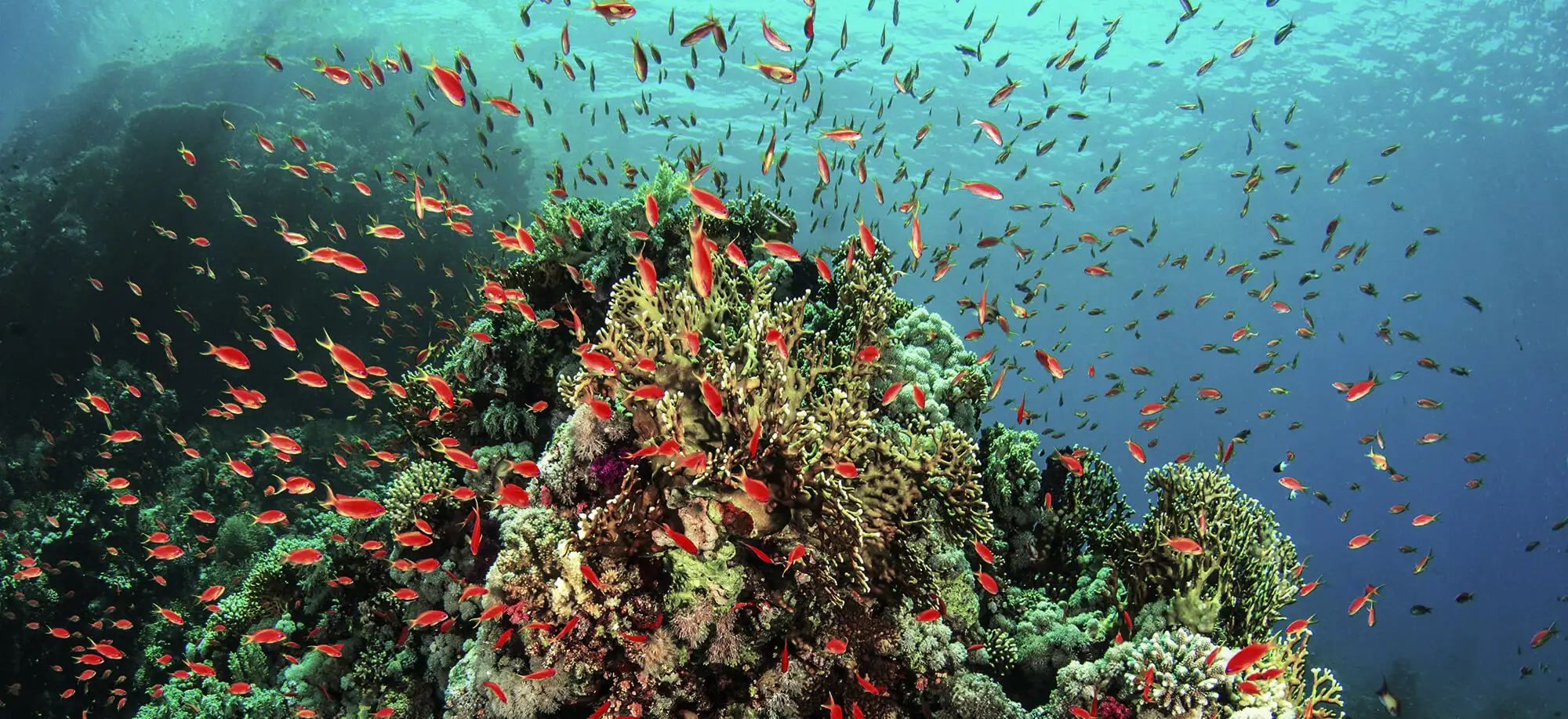 Viajes a Sharm el Sheikh