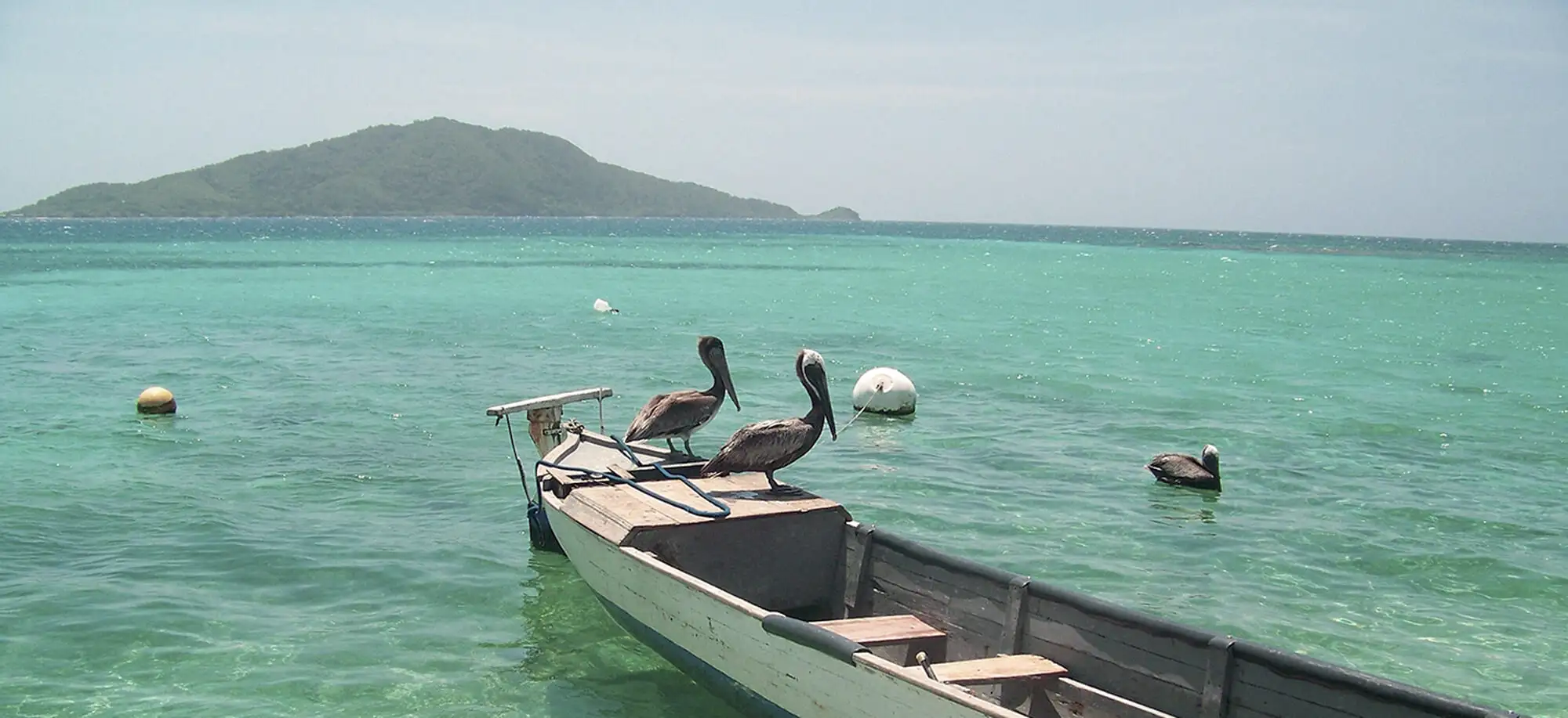 Viajes a Cayos Cochinos