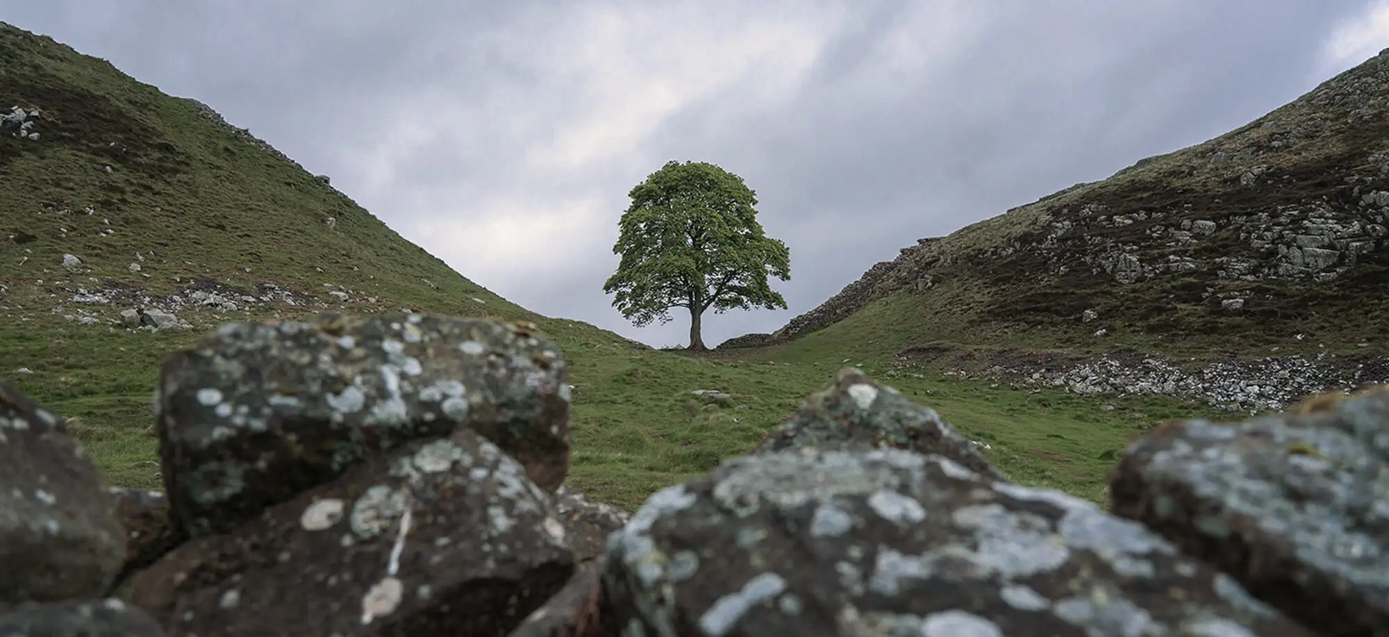 Viajes al Muro de Adriano