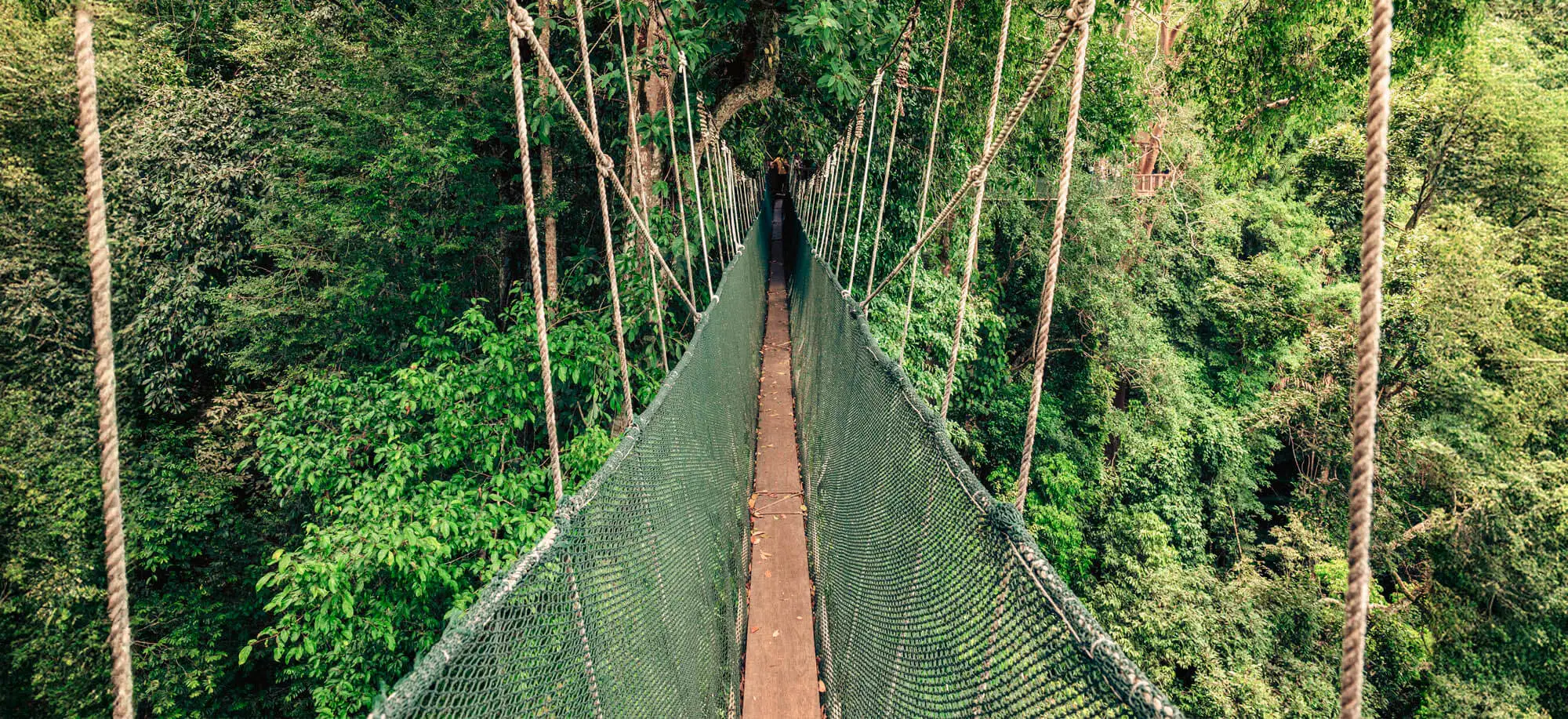 Viajes al Parque Nacional Taman Negara