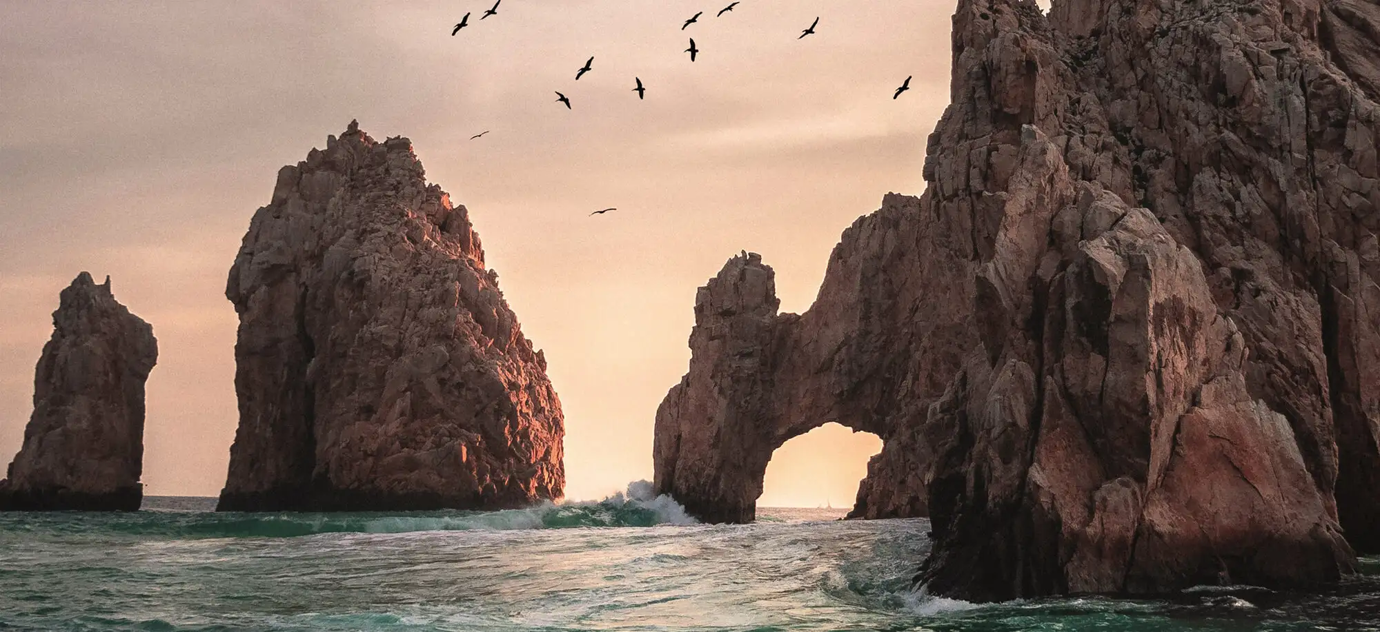 Viajes a Baja California Sur