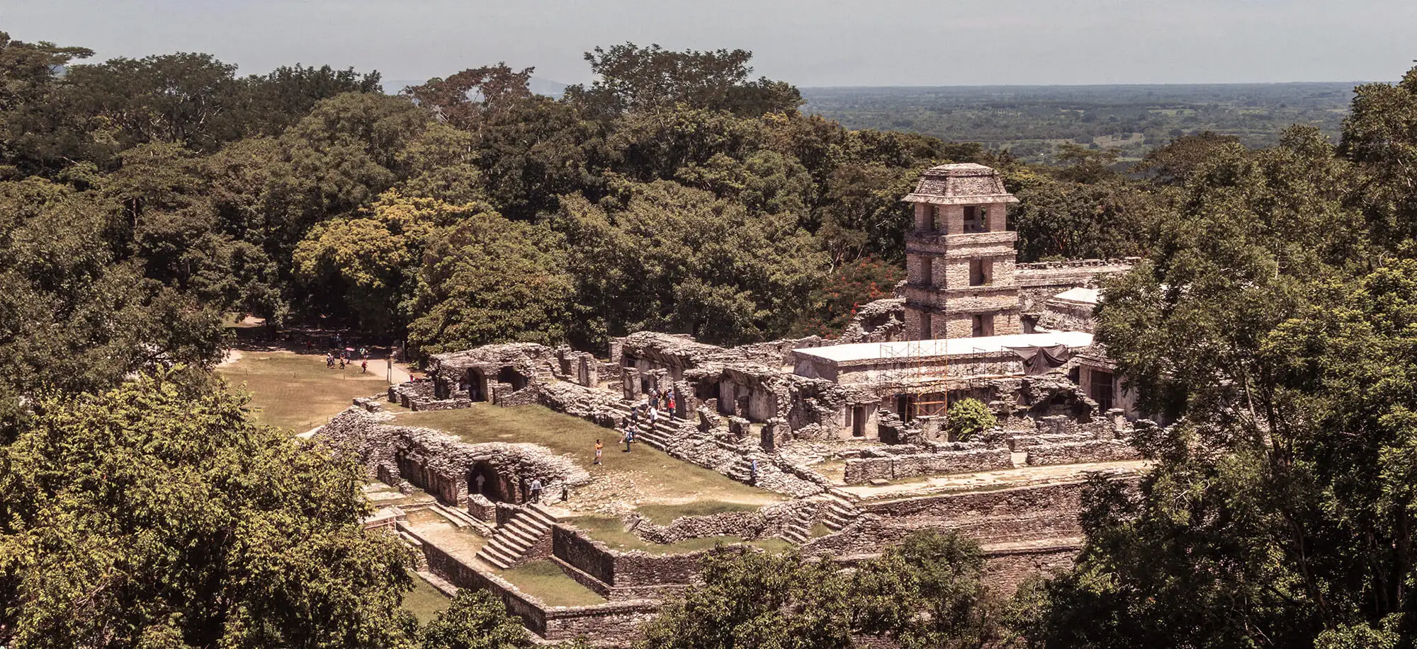 Viajes a Palenque