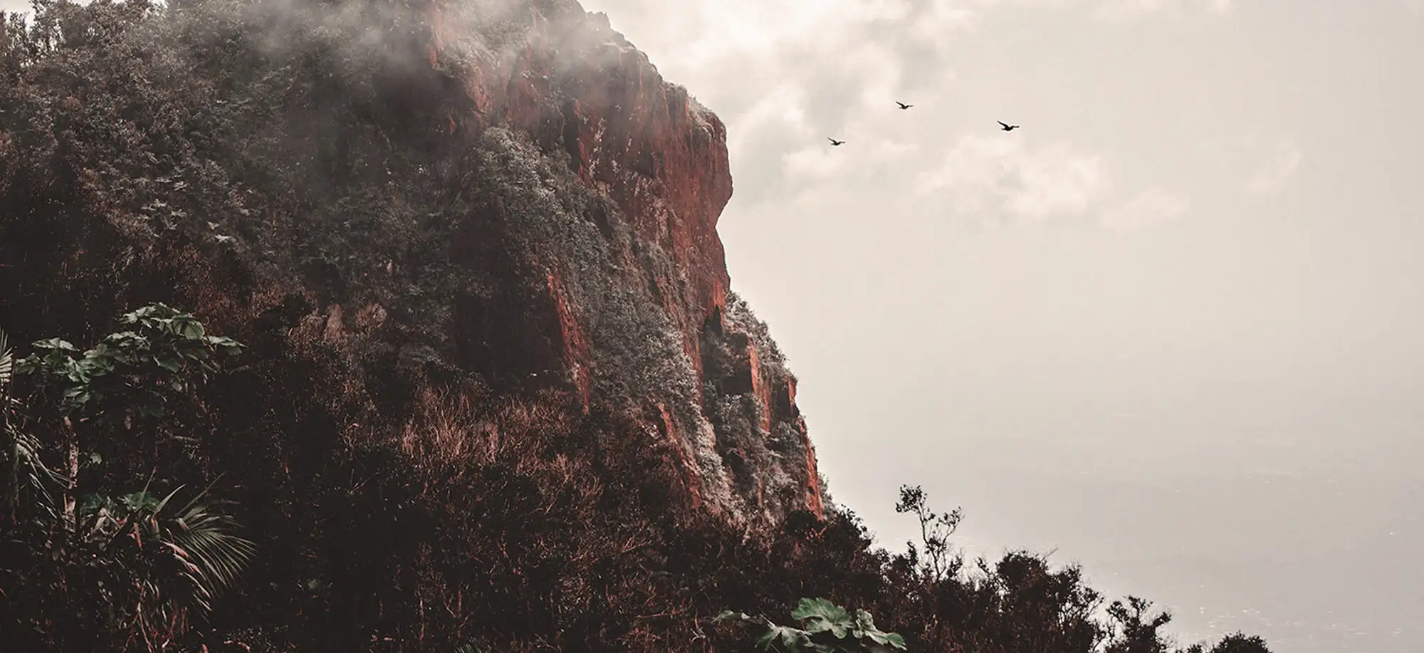 Viajes al Parque Nacional El Yunque