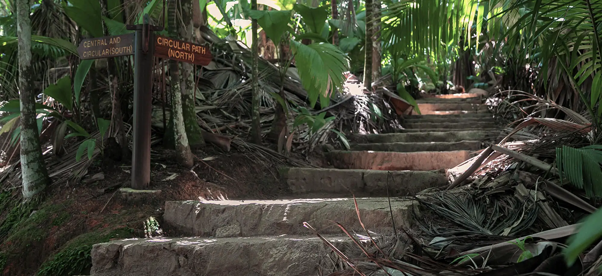 Viajes a la Reserva Natural del Valle de Mai