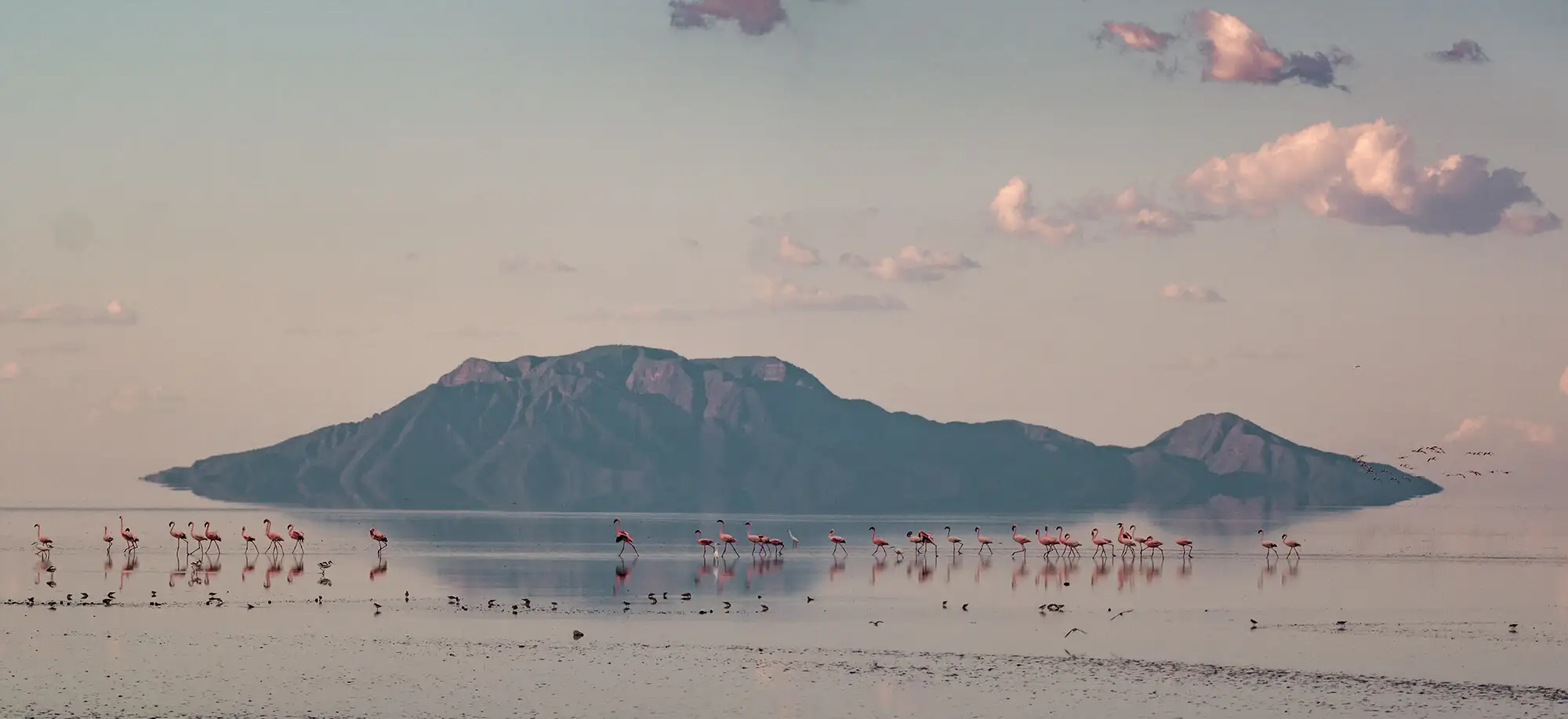 Viajes al Lago Natron