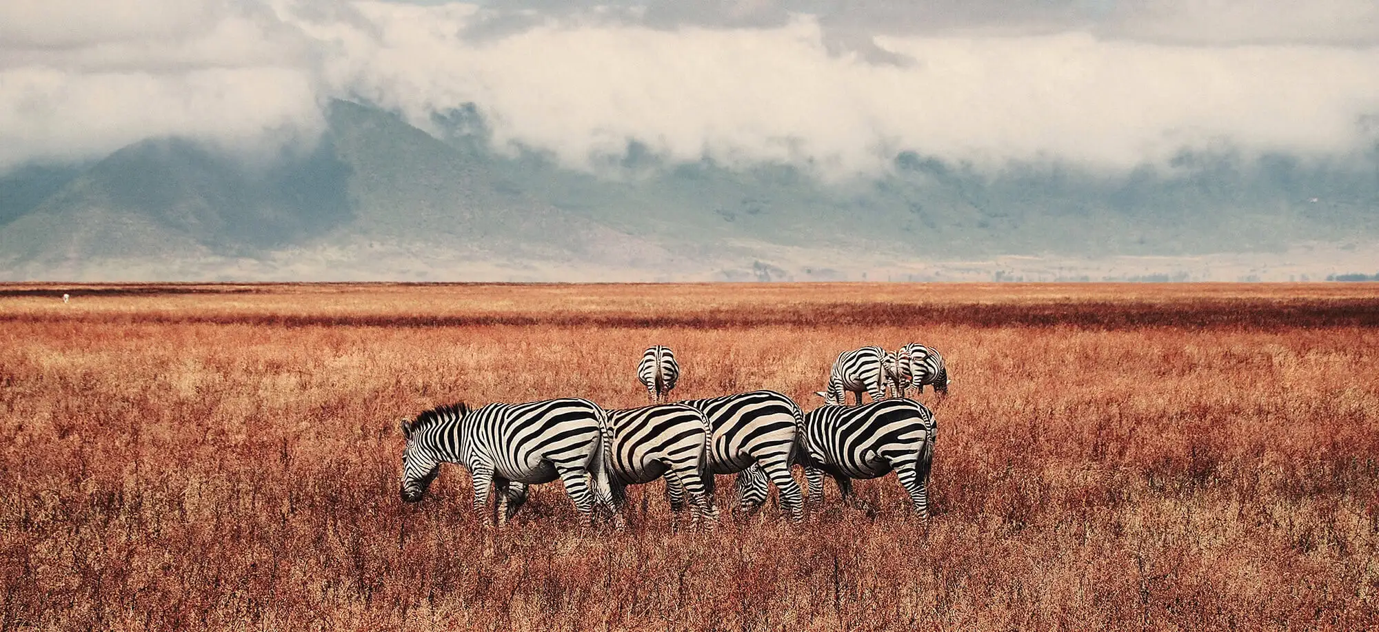 Viajes al Ngorongoro
