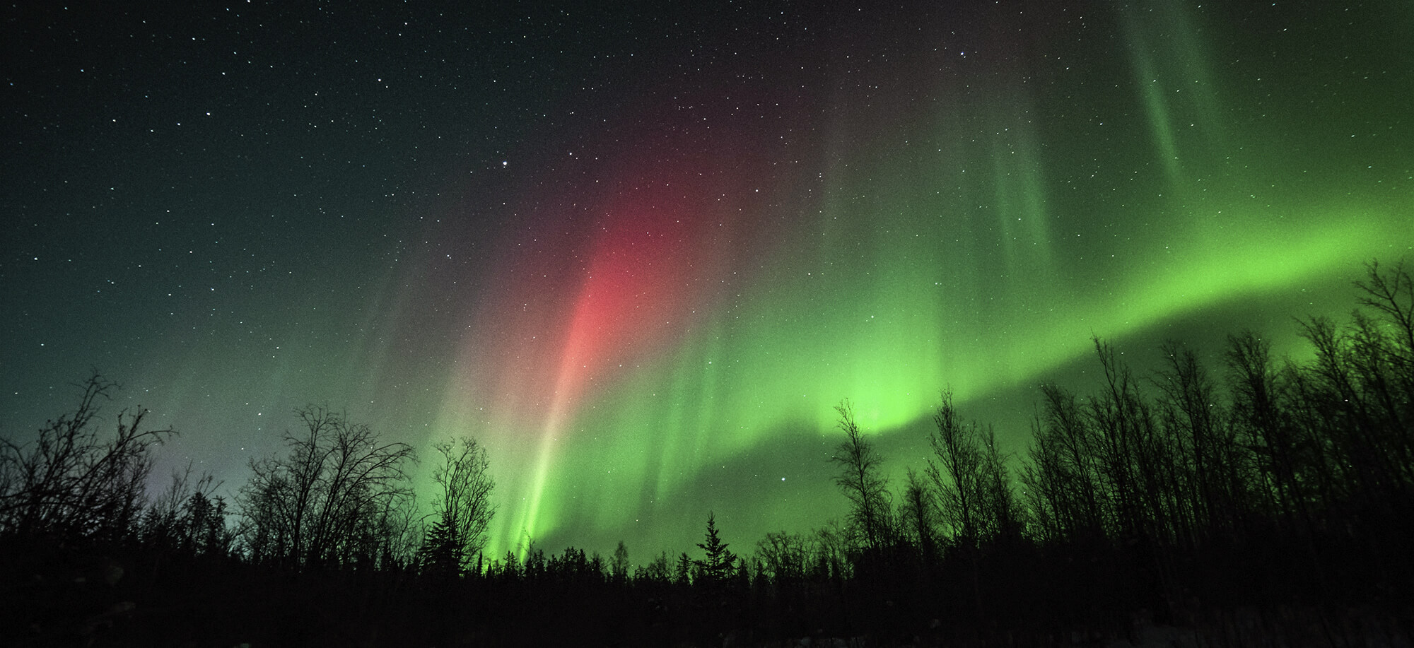La llamada del norte